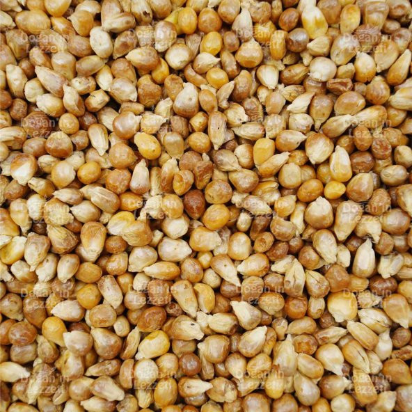 Kavurga Mısır 500 G - Resim 8