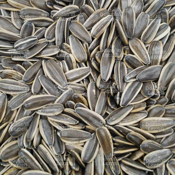 Ay Çekirdeği Yerli Çiğ XL 250 G - Resim 8
