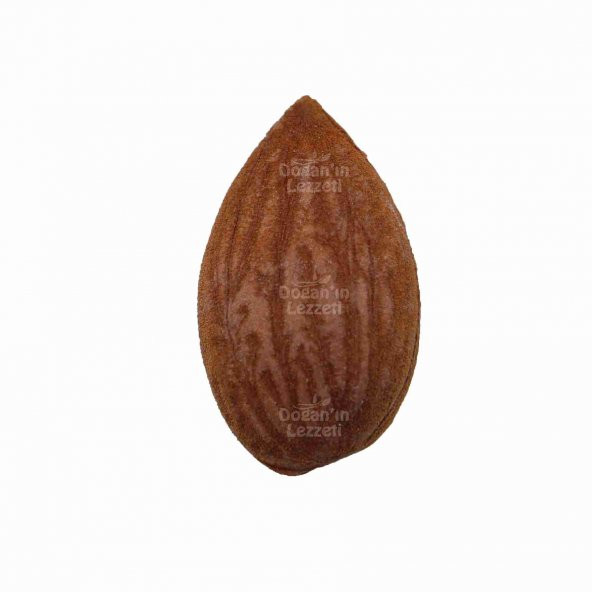 Çiğ Kayısı Çekirdeği 1 KG - Resim 2