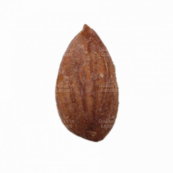 Kayısı Çekirdeği  1 KG - Resim 2
