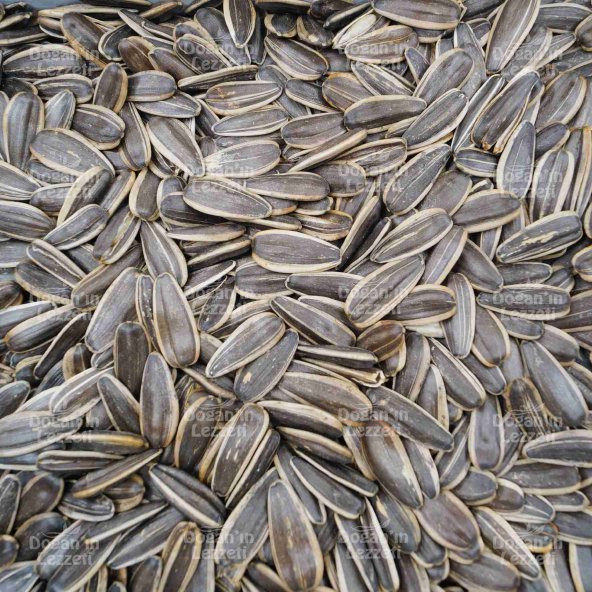 Ay Çekirdeği Yerli XL 250 G - Resim 8
