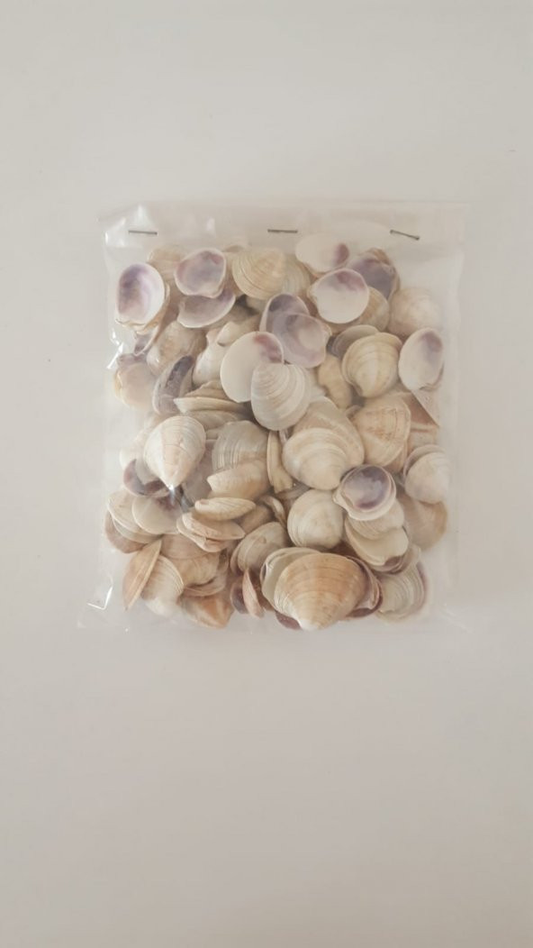 Küçük Deniz Kabuğu 500 gr. - Resim 3