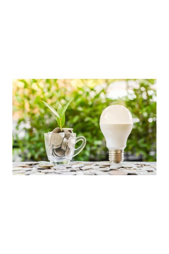 Philips 8W (60W) Led Ampul Beyaz 6500K E27 Duy - Resim 6