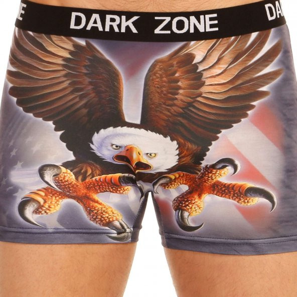 Darkzone 3D Boxer - Resim 2