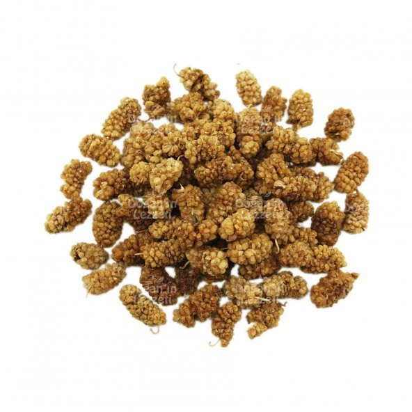 Dut Kurusu 500 G ürün görseli 1
