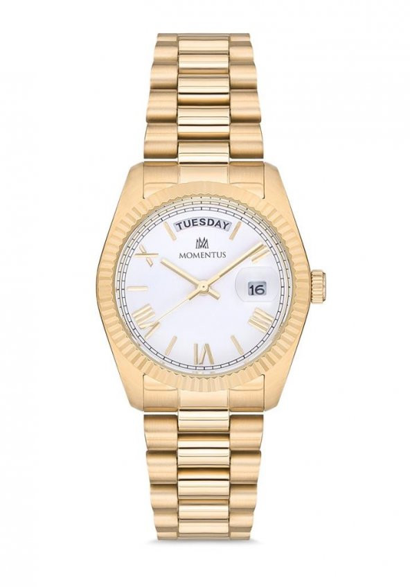 Momentus-CW134G-01SG Kadın Kol Saati ürün görseli 1