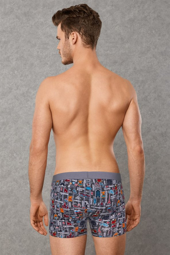 Doreanse 1816 Erkek Boxer - Resim 2