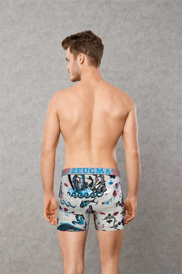 Doreanse 1806 Erkek Boxer - Resim 2