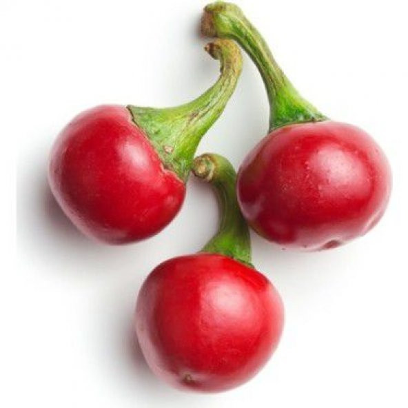 Süper Paket Cherry Tatlı Kiraz Biber Tohumu 150 Tohum+Hediye Tohu ürün görseli 1