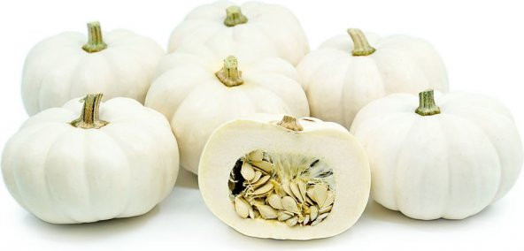 Kestane Kabağı Tohumu Kabak Tohumu 5 Tohum + Spriz Hediye Tohum ürün görseli 1