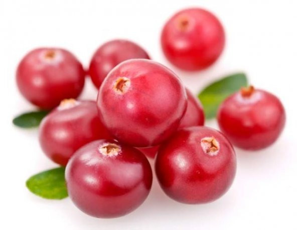 Cranberry Tohumu Yaban Mersini Turna Yemişi Tohumu 5 Tohum+Hediye ürün görseli 1