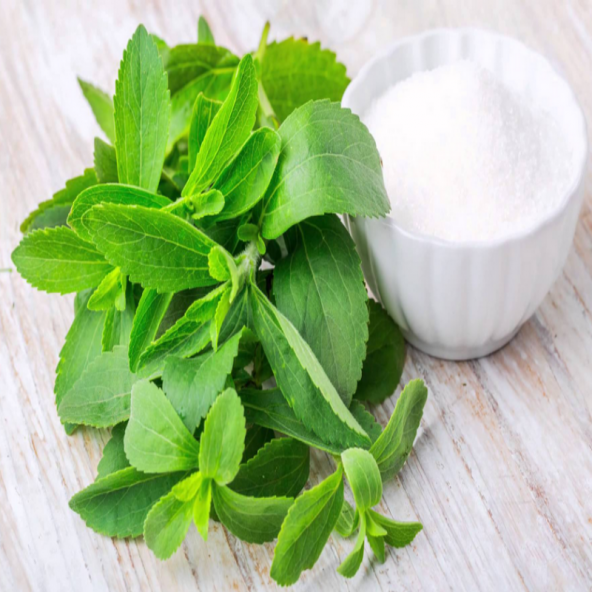 Eko Paket Şeker Otu Tohumu Stevia Tohumu 65 Adet Tohum +Hediye To ürün görseli 1