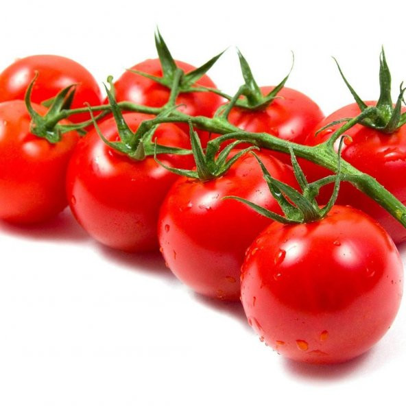 Cherry Domates Tohumu Saksılık 10 Tohum SaksıToprakHediye Tohu ürün görseli 1