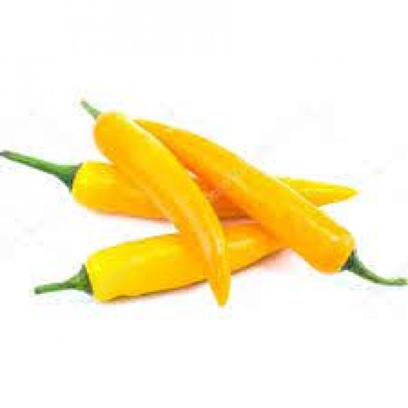 Golden Acı Cayenne Biber Tohumu 20 Adet Tohum + Spriz HediyeTohum ürün görseli 1
