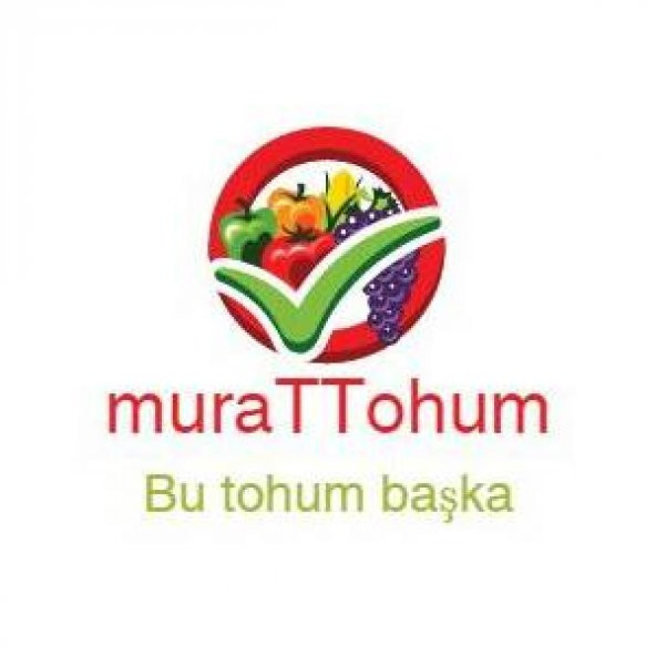 Meksika Biberi Tohumu Acı Jalapeno Tohumu 10 Tohum+Hediye Tohum ürün görseli 1