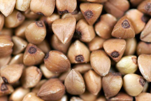 Kara buğday Tohumu 100 gram tohum + Spriz Hediye Tohum ürün görseli 1