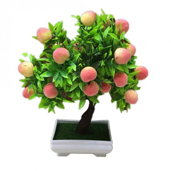 Bodur Bonsai Şeftali Ağacı Tohumu 1 Tohum+Saksı+Toprak+Hediye Toh ürün görseli 1