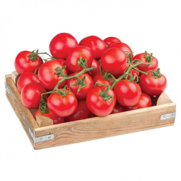 DOMATES 3 KG TOPLAM FİYAT ürün görseli 1