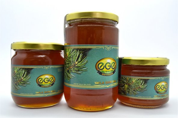 Egemutfağım - Yayla Çamı Balı - 850 gr - Resim 4