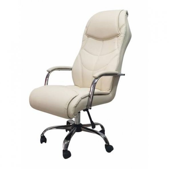 Z-44 Makam Koltuğu Müdür Koltuk Patron Koltuğu Ofis Koltuğu Büro Koltuğu ürün görseli 1