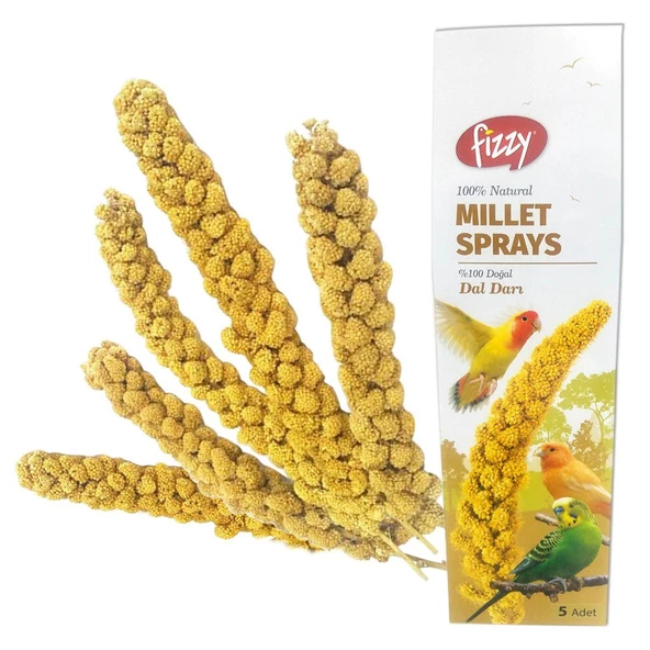 Fizzy Doğal Dal Darı ürün görseli 1