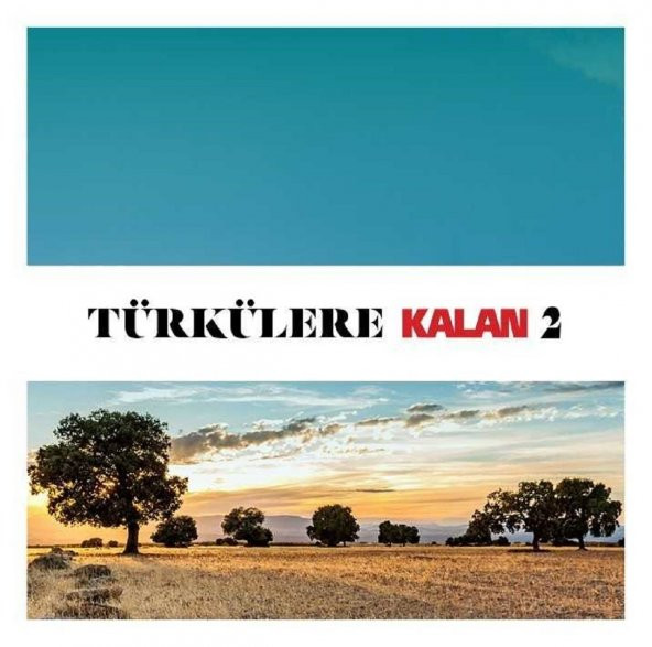 TÜRKÜLERE KALAN 2 - ÇEŞİTLİ SANATÇILAR (2 CD) (2020) ürün görseli 1
