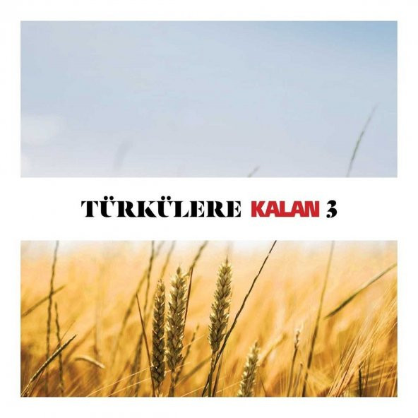 TÜRKÜLERE KALAN 3 - ÇEŞİTLİ SANATÇILAR (2 CD) (2020) ürün görseli 1