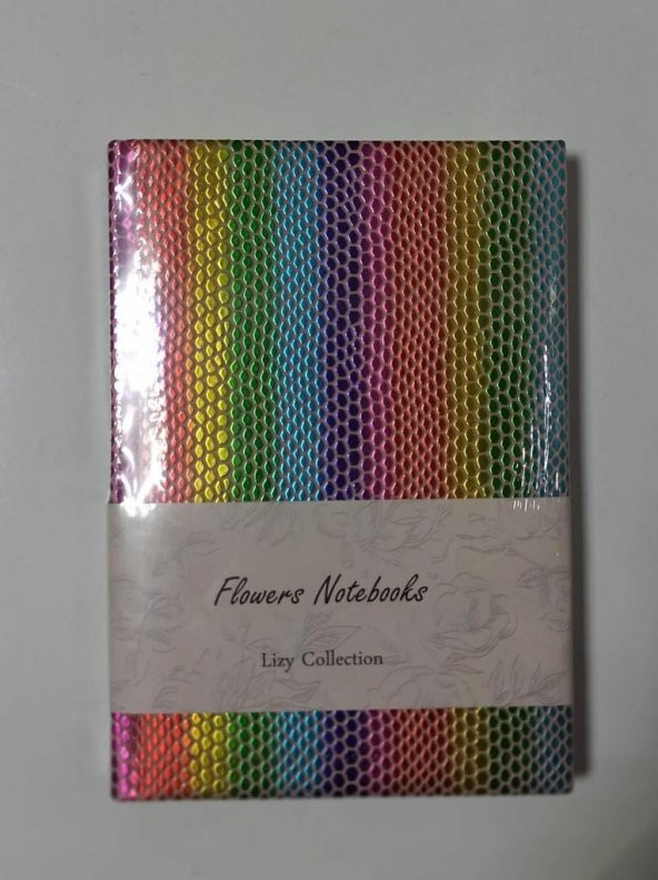 LIZ RAINBOW SUNI DERI 17X24 168YP CIZGILI ürün görseli 1