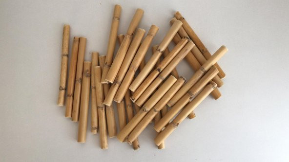 Bambu 15 Cm 12 Li Paket Hobi Hammadde - Resim 3