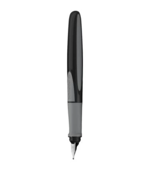 SCHNEIDER RAY DOLMAKALEM ONYX M+ (168207) ürün görseli 1