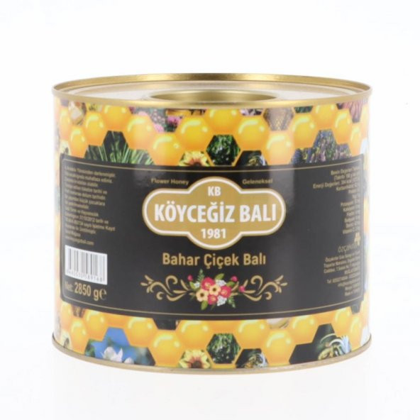 Kb Köyceğiz Balı Bahar Çiçek Balı 2850 G Teneke ürün görseli 1
