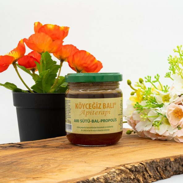 Kb Köyceğiz Balı Arı Sütü Bal Propolis Karışımı 250 G Cam Kavanoz ürün görseli 1