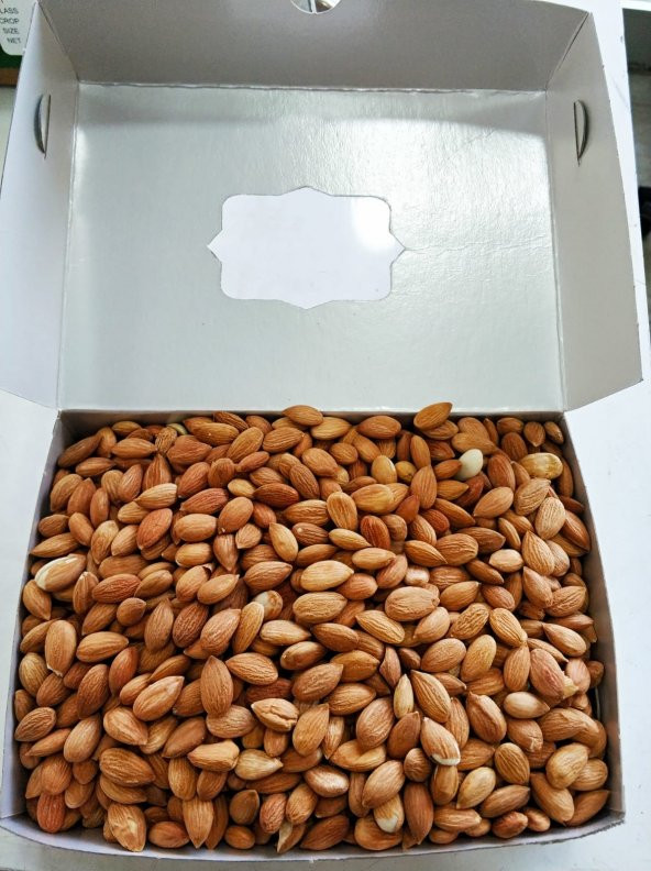 Kayısı Çekirdeği 1000G ürün görseli 1