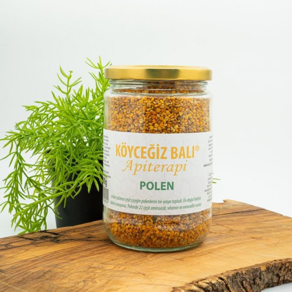 Kb Köyceğiz Balı Arı Poleni 400 G Cam Kavanoz ürün görseli 1