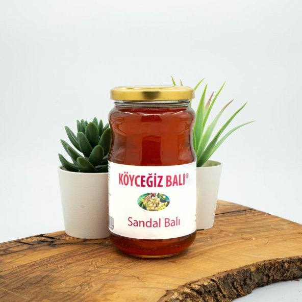 Kb Köyceğiz Balı Sandal Balı 450 G Cam Kavanoz ürün görseli 1