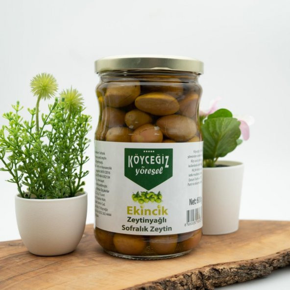 Kb Köyceğiz Yöresel Ekincik Sofralık Zeytin 600 G ürün görseli 1