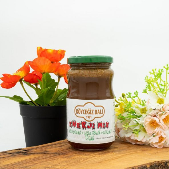 Kb Köyceğiz Balı Enerji Mix 450 G Cam Kavanoz ürün görseli 1