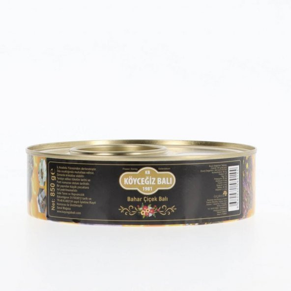Kb Köyceğiz Balı Bahar Çiçek Balı 850 G Teneke ürün görseli 1