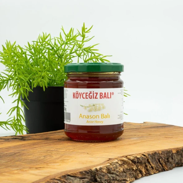 Kb Köyceğiz Balı Anason Balı 250 G Cam Kavanoz ürün görseli 1