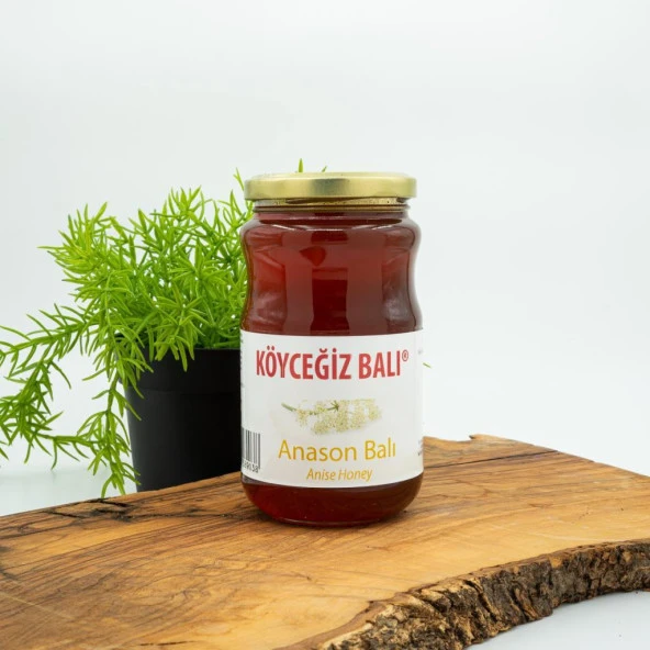 Kb Köyceğiz Balı Anason Balı 450 G Cam Kavanoz ürün görseli 1