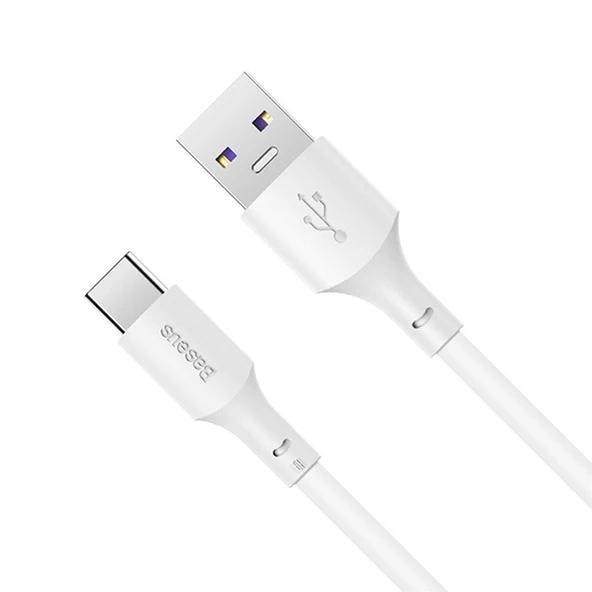 Baseus Simple Wisdom 100W USB to Type-C Hızlı Data Şarj Kablosu - Resim 2