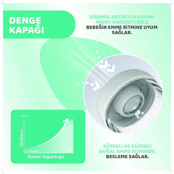 Chicco Perfect 5 Antikolik Biberon Pp 150 Ml Boy - Resim 6