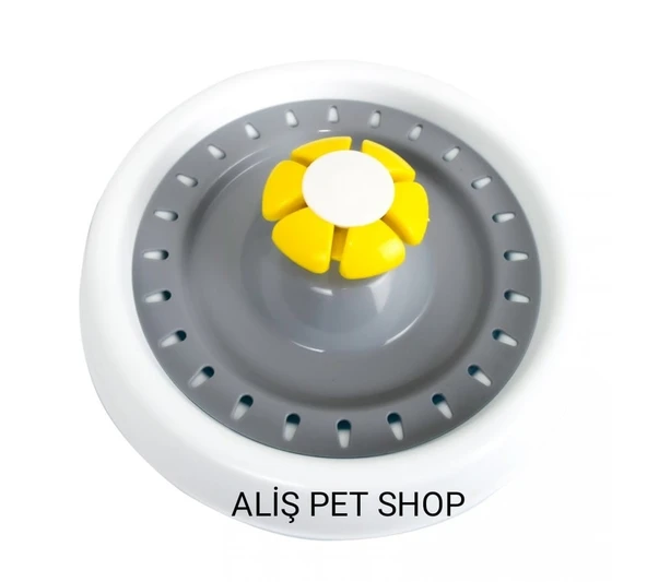 PAPATYA SU PINARI 2,5 LT - 220 VOLT - Resim 2
