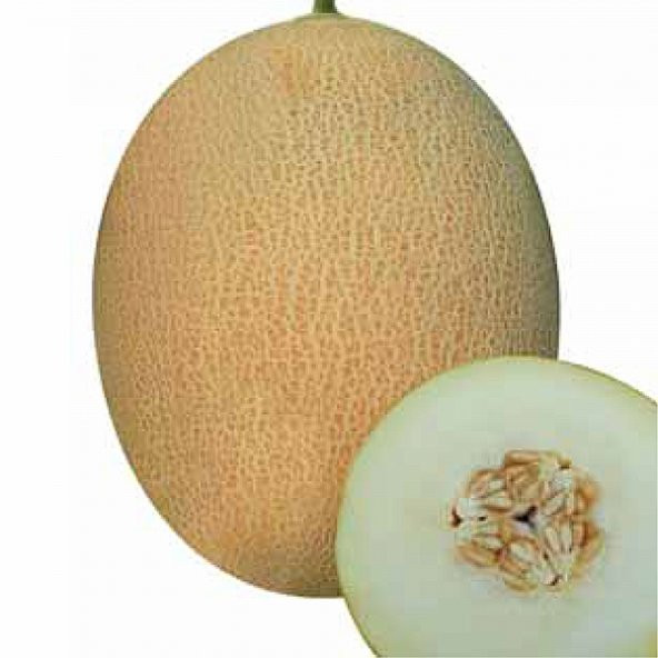 Ananas Kavun Tohumu 15 Tohum + Süpriz Hediye ürün görseli 1