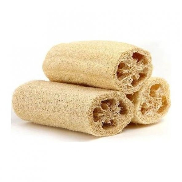 Lif Kabağı Tohumu 3 Tohum Kabak Tohumu + Süpriz Hediye Tohum ürün görseli 1