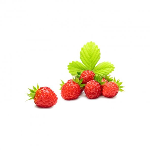 Yayılıcı Dağ Çileği Tohumu 10 Tohum Çilek Tohumu +Süpriz Hediye ürün görseli 1