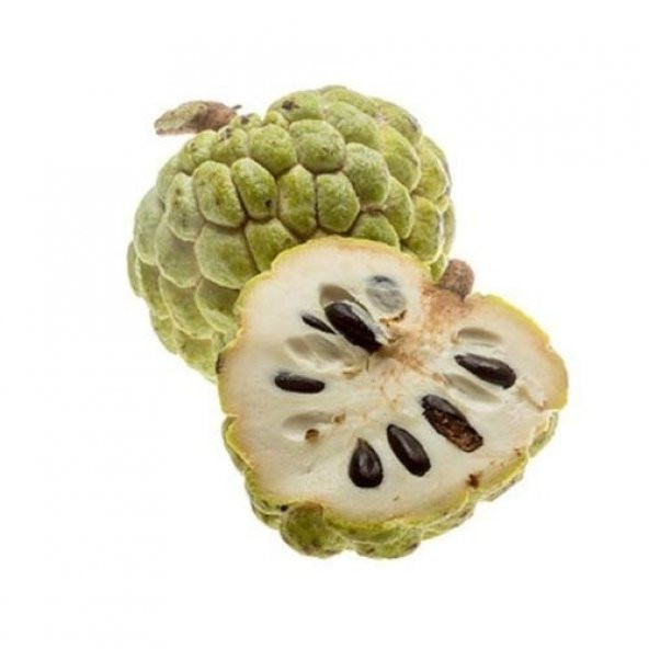 Sugar Apple Meyvesi Tohumu 3 Tohum + Süpriz Hediye Tohum ürün görseli 1