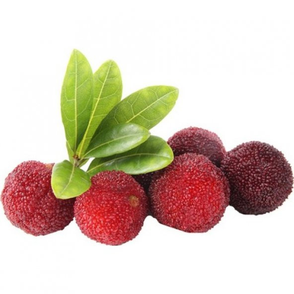 Tropikal Myrica Çin Çileği Tohumu 2 Tohum + Süpriz Hediye Tohum ürün görseli 1