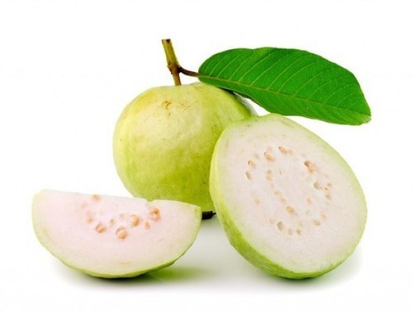 Psidium Guava Meyvesi Tohumu 3 Tohum + Süpriz Hediye Tohum ürün görseli 1