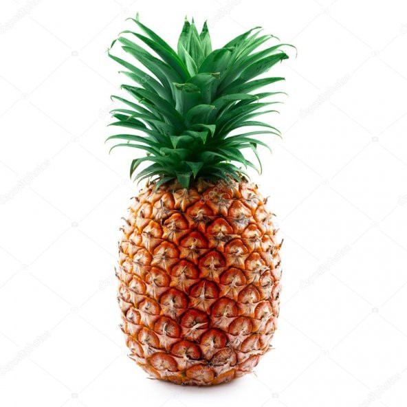 Tropikal Meyve Ananas Tohumu 3 Tohum + Süpriz Hediye Tohum ürün görseli 1
